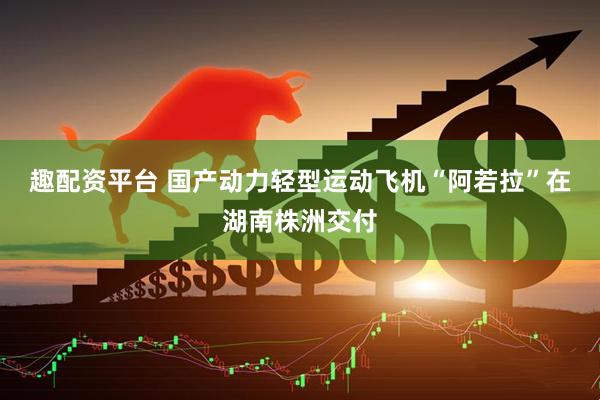 趣配资平台 国产动力轻型运动飞机“阿若拉”在湖南株洲交付