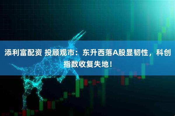 添利富配资 投顾观市：东升西落A股显韧性，科创指数收复失地！