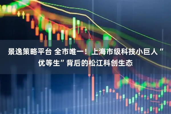 景逸策略平台 全市唯一！上海市级科技小巨人“优等生”背后的松江科创生态
