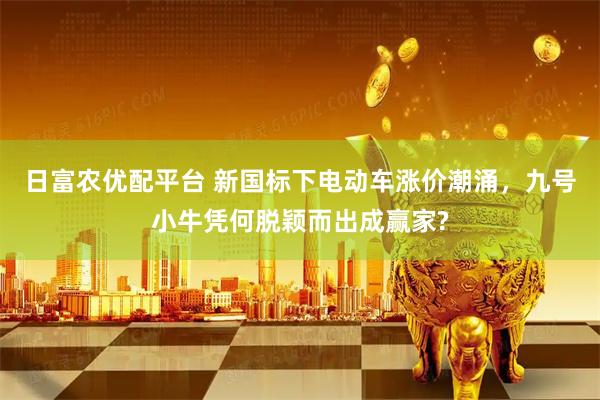 日富农优配平台 新国标下电动车涨价潮涌，九号小牛凭何脱颖而出成赢家?